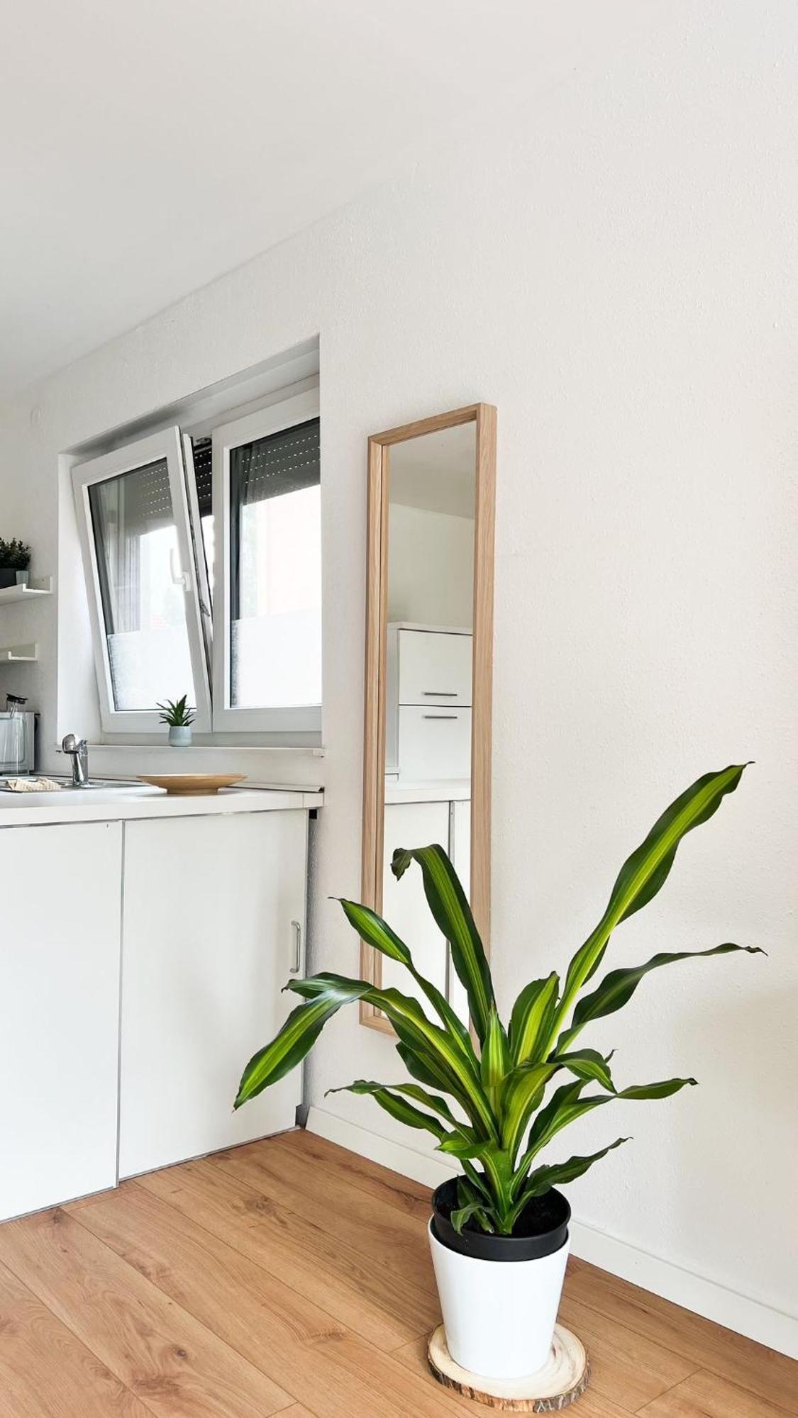 2 Zkb Apartment In Mannheim Kueche - Parken - Grosser Tv Luaran gambar